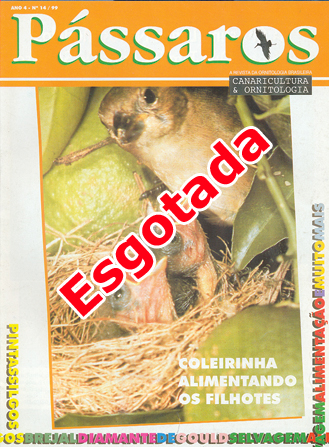 Revista 14