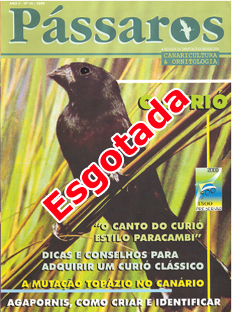 Revista 20