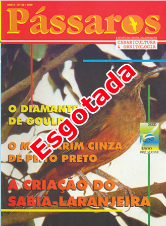 Revista 22