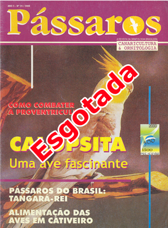 Revista 24