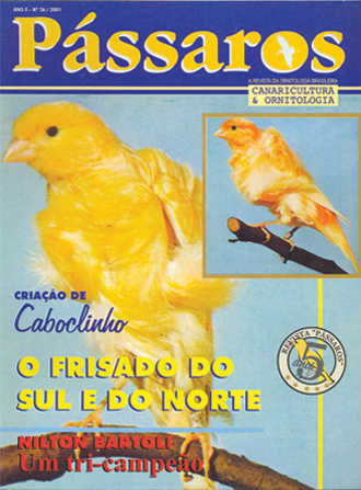 Revista 26