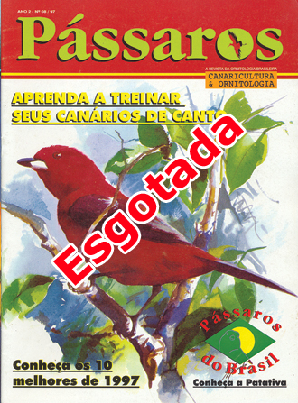 Revista 8